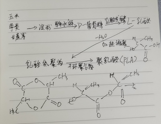 生物降解袋中的PLA是如何制得的？(圖2)