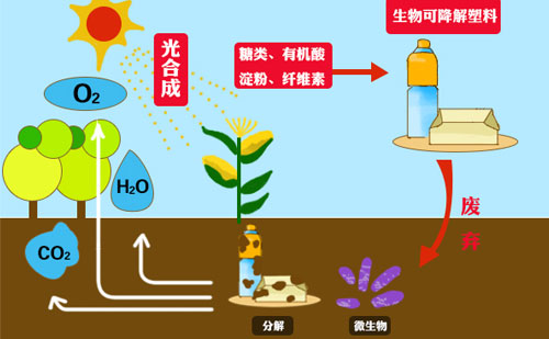 知名廠家?guī)銇砜纯山到獍b袋的市場(chǎng)優(yōu)勢(shì)(圖1)